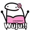 Flork Memes Animado😎 11