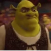 SHREK, BURRO, GATO DE BOTAS 11