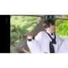Bts 8