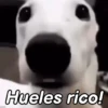 🌷Animados Momos💗 9
