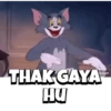 Tom & Jerry Funny 14