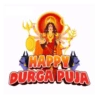 Durga Puja ✨ 6