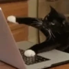 Animado para o seu chat 1 20