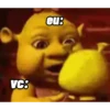 SHREK, BURRO, GATO DE BOTAS 6