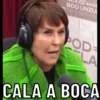 MEMES DA SEMANA 8