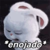 🌈✨ Conejito Snowball ☁️🐰 12