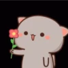 Kucing 1 19