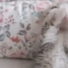 Gatinhos fofos 7