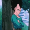 Memes DragonBall 14