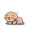 Pibubear animated 11