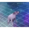 MEMES PRO FIM DE SEMANA 9