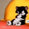 क्रोध 14
