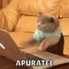 Memes v2 12
