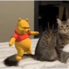 Tiktok Virales Mix 4😎🤙 11