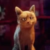 SHREK, BURRO, GATO DE BOTAS 14