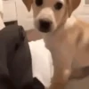 Funny Memes 6