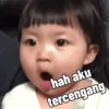 Gapaham 11