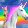 🌈 Animaditos Random 12 🤭 10