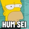 Os Simpsons 8