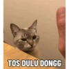 Meme kucing pt. 2 7