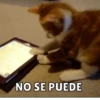 Memes v2 11