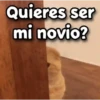 😳 Gato Vergonzoso 🙈 18