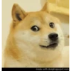 Funny doge 6