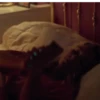 Quero dormir 16