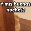 😳 Gato Vergonzoso 🙈 9