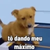 Figurinhas quentinhas 🔥 15