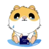 Hamsters 🐹✨ 8