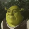 Shrek pensando