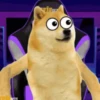 Viral meme 14