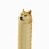 Funny doge 14