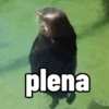 Memes & Reações 15