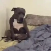 Quero dormir 18