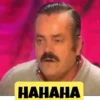 Memes 8