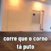 Animadas 10