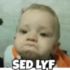 Animated Memes 6