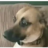 Memes you must to have 25 9
