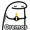 Flork Memes Animado😎 7