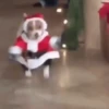 Feliz natal 6