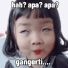 Gapaham 13