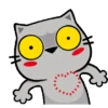 All cat for u 10