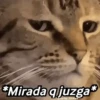 🌈🌈 Mix Gatitos Animados 😻☁️❤️🌈 12