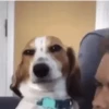 Funny Memes 5