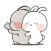Kelinci gemoi 8