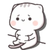 KITTY CHAN 12