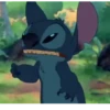 Stitch 28