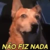 MEMES SEM CONTEXTO 🤣 11